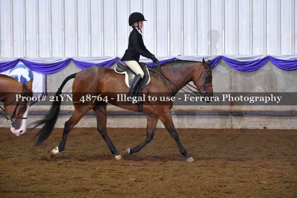 Proof Number 21YN_48764