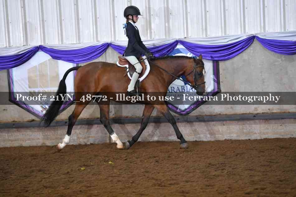 Proof Number 21YN_48772
