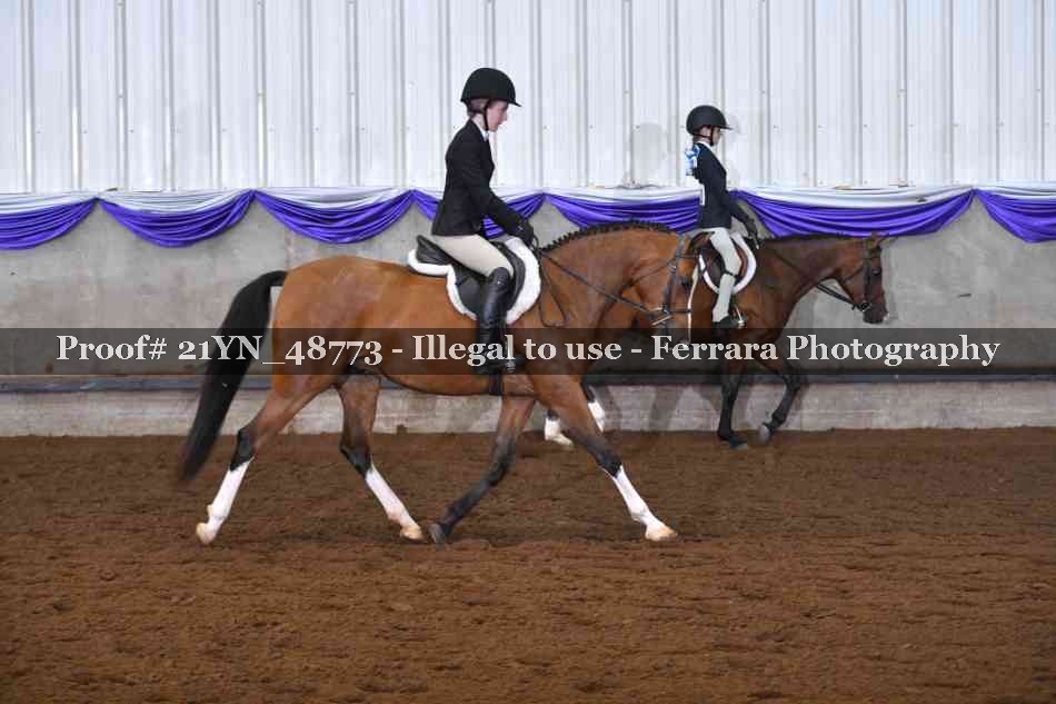 Proof Number 21YN_48773