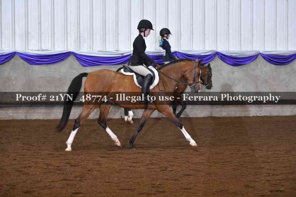 Proof Number 21YN_48774