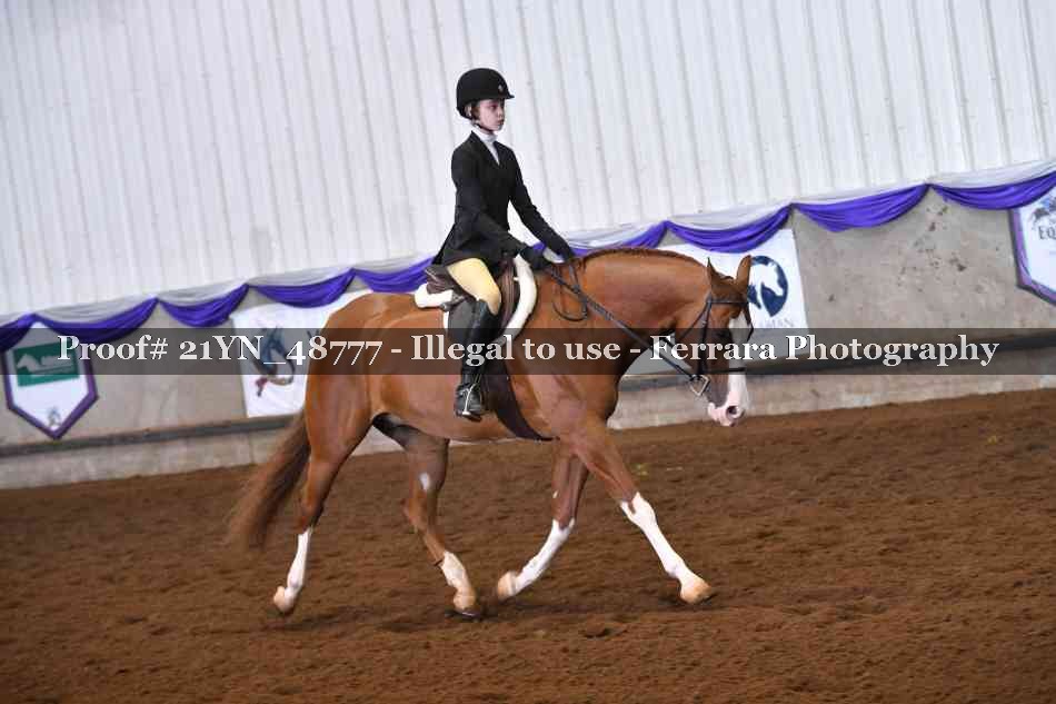 Proof Number 21YN_48777