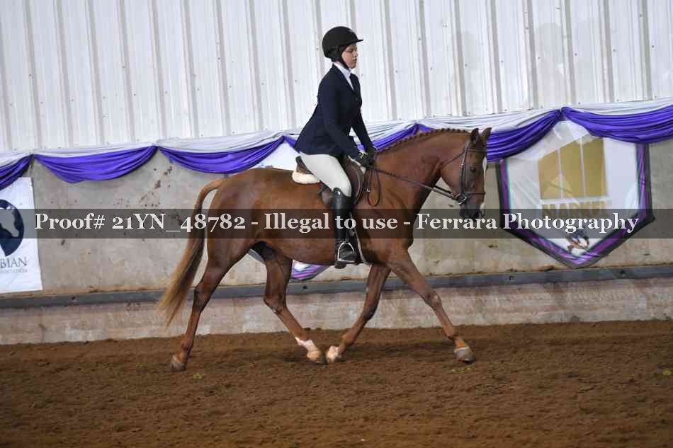 Proof Number 21YN_48782