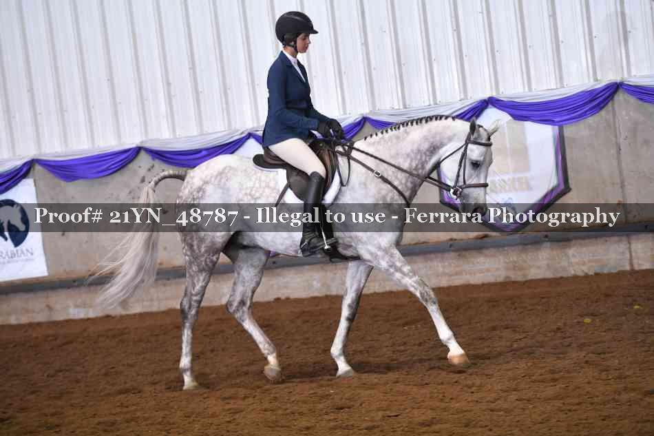 Proof Number 21YN_48787