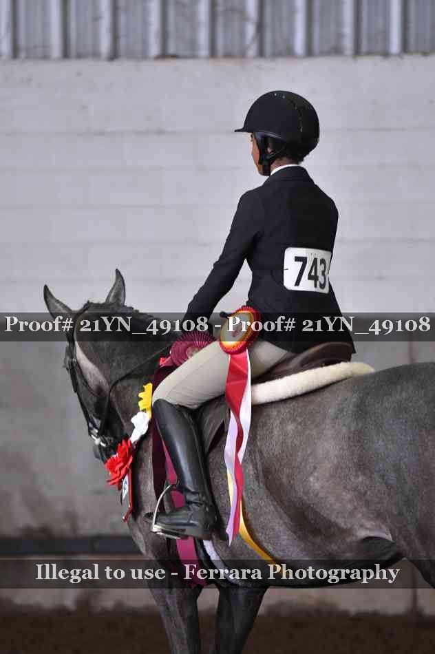 Proof Number 21YN_49108