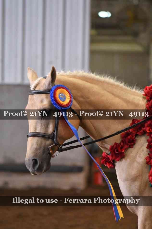 Proof Number 21YN_49113