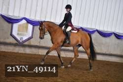 21YN_49114 thumbnail