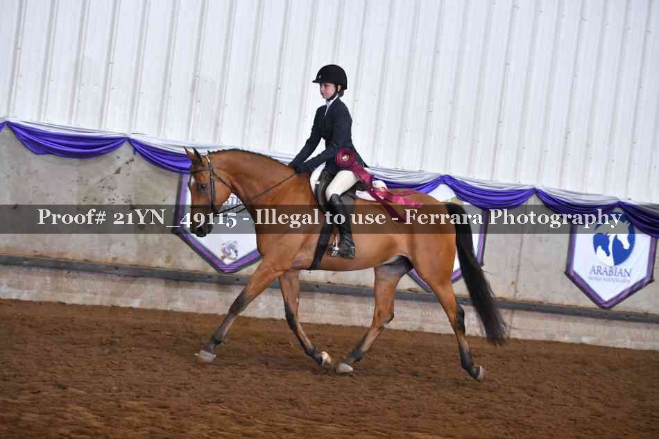 Proof Number 21YN_49115
