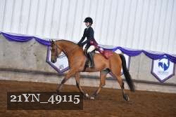 21YN_49115 thumbnail