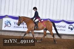 21YN_49116 thumbnail