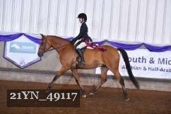 21YN_49117 thumbnail