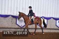 21YN_49119 thumbnail