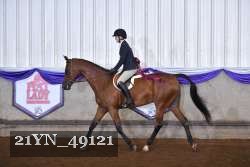 21YN_49121 thumbnail