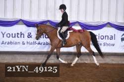 21YN_49125 thumbnail