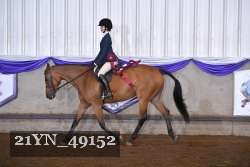 21YN_49152 thumbnail
