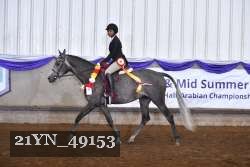 21YN_49153 thumbnail