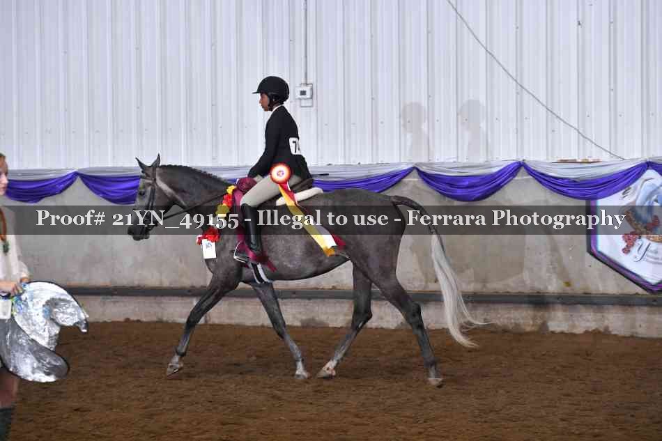 Proof Number 21YN_49155