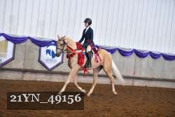 21YN_49156 thumbnail
