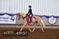21YN_49157 thumbnail