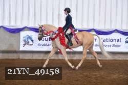 21YN_49158 thumbnail