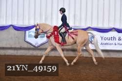 21YN_49159 thumbnail