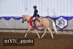 21YN_49161 thumbnail
