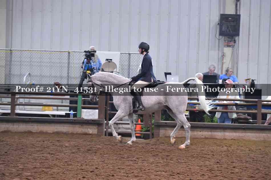 Proof Number 21YN_41531