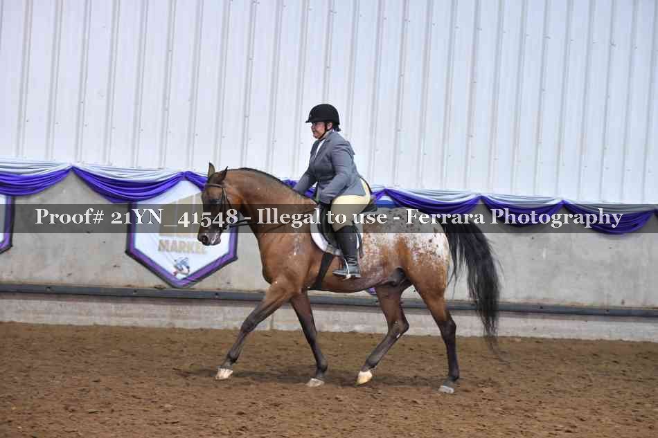 Proof Number 21YN_41548