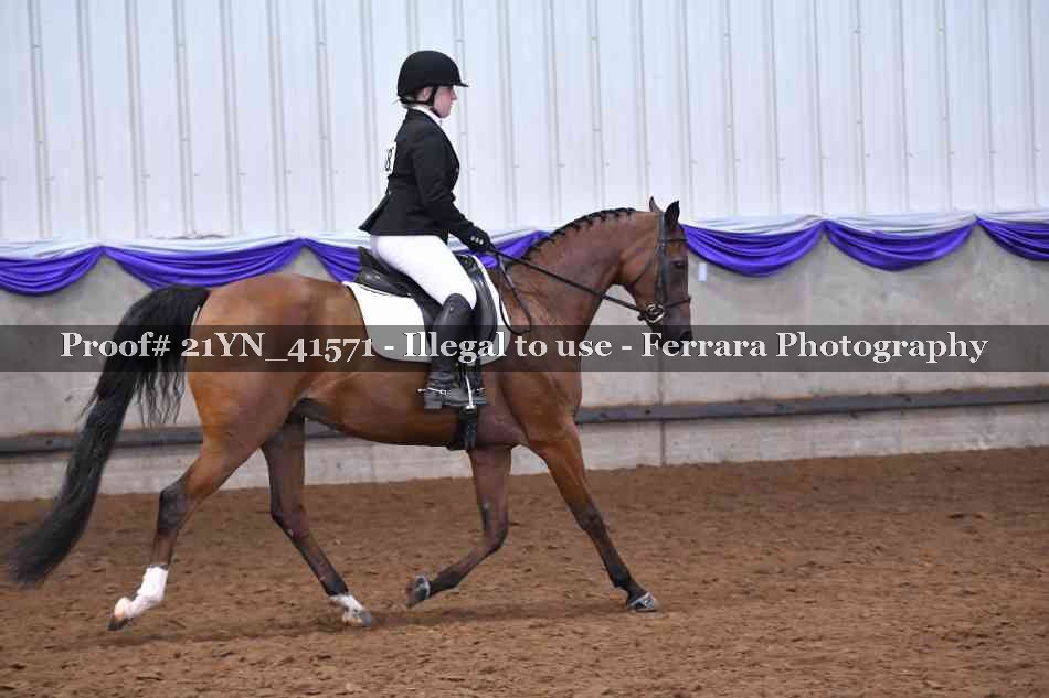 Proof Number 21YN_41571