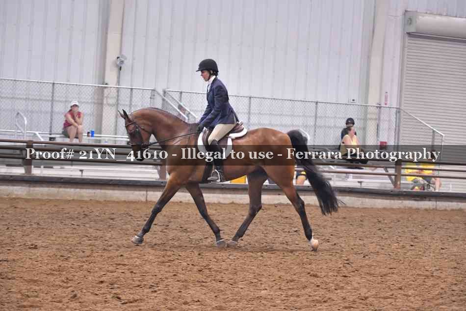 Proof Number 21YN_41610