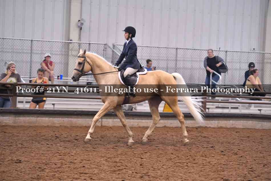 Proof Number 21YN_41611
