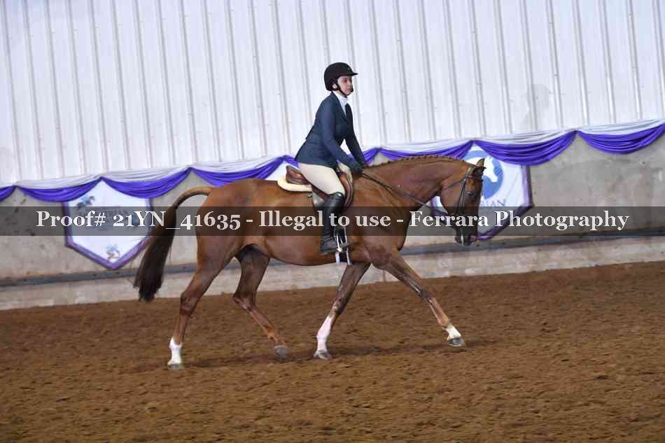 Proof Number 21YN_41635