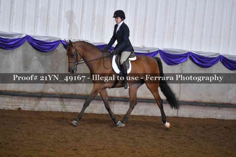 Proof Number 21YN_49167