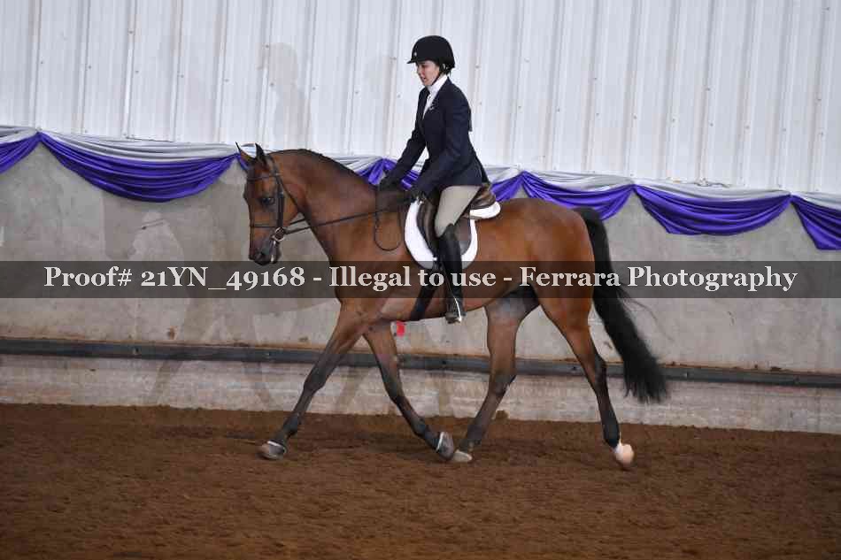 Proof Number 21YN_49168