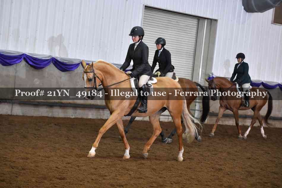 Proof Number 21YN_49184