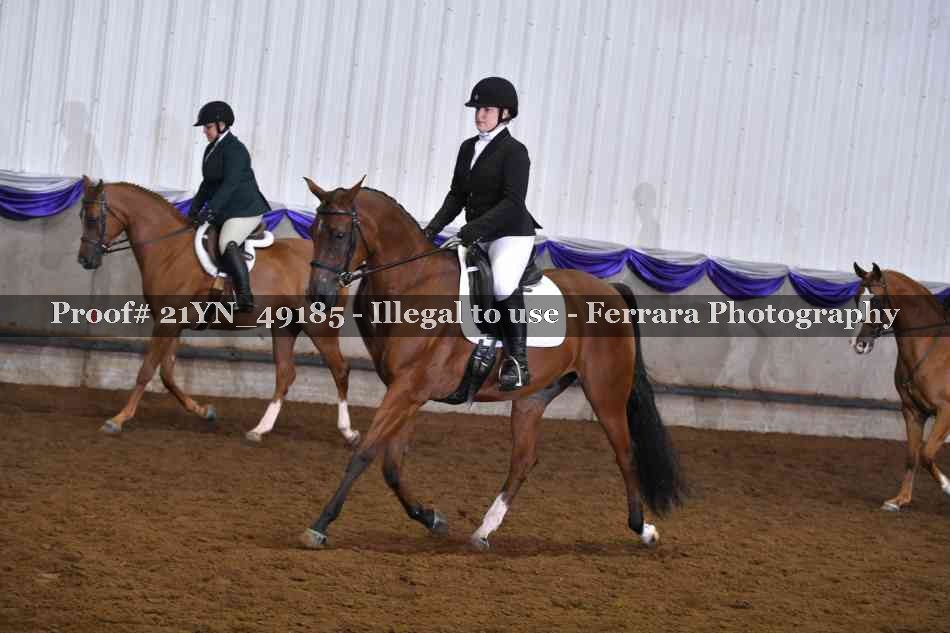 Proof Number 21YN_49185