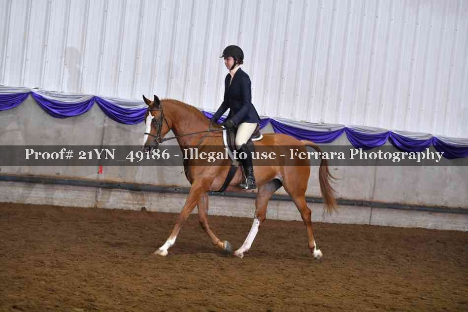 Proof Number 21YN_49186