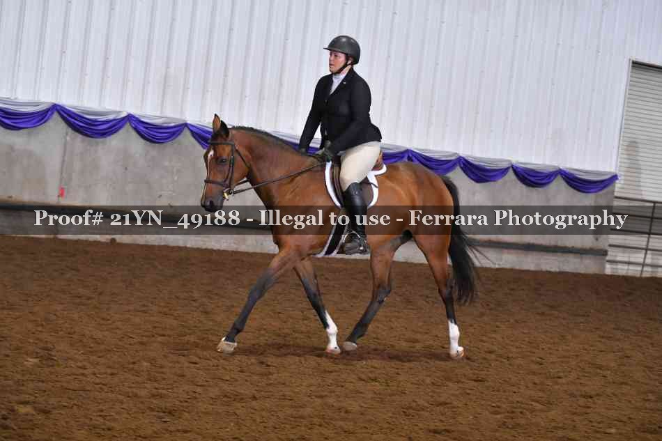 Proof Number 21YN_49188