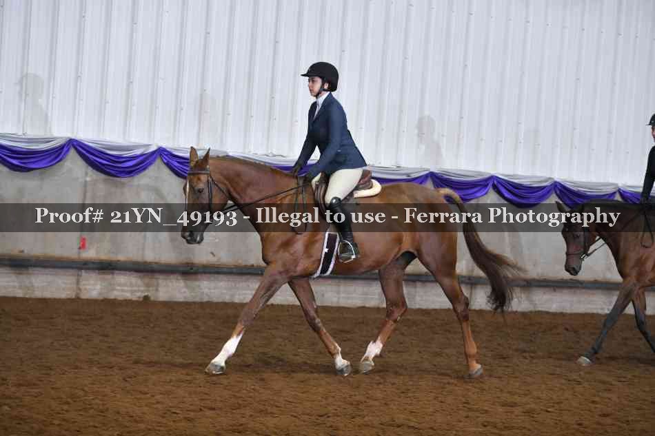 Proof Number 21YN_49193