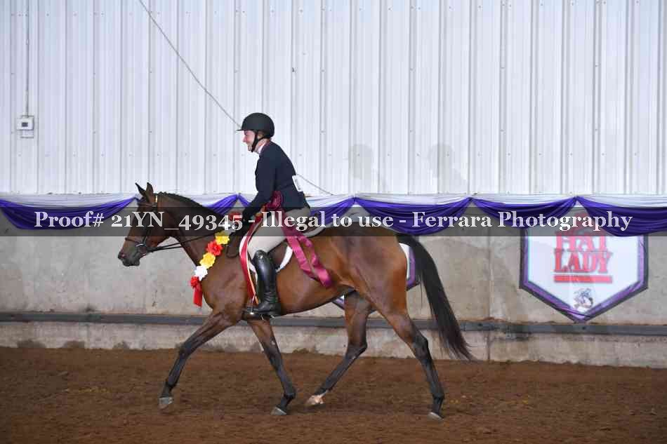 Proof Number 21YN_49345