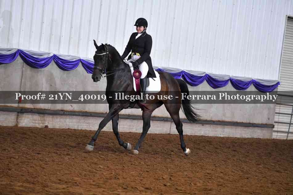 Proof Number 21YN_40019