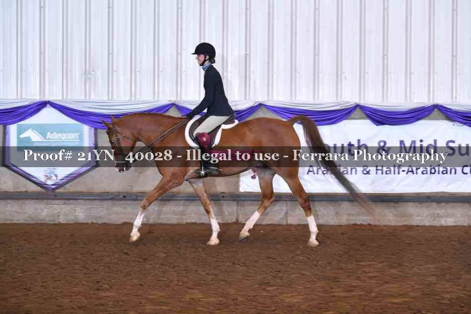 Proof Number 21YN_40028