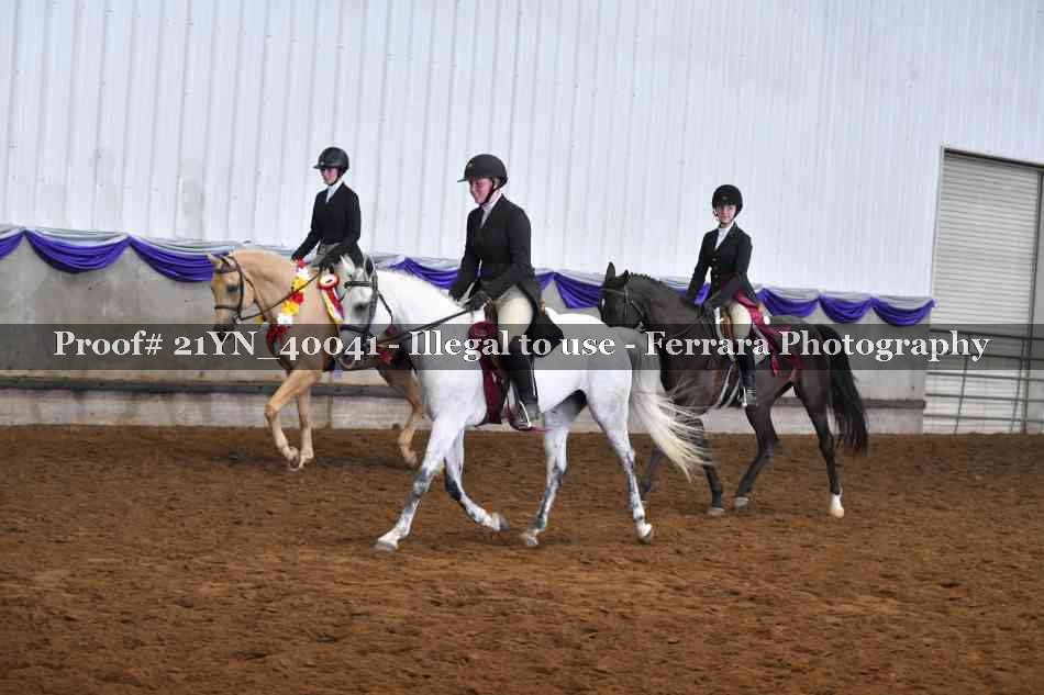 Proof Number 21YN_40041