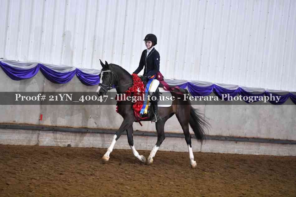 Proof Number 21YN_40047