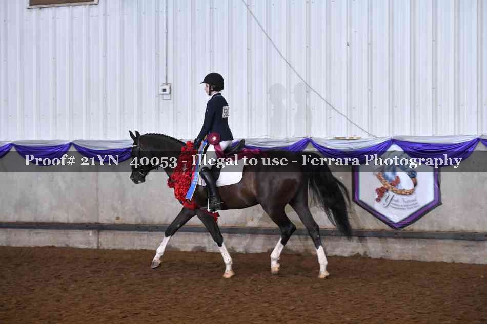 Proof Number 21YN_40053