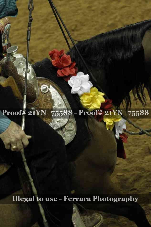 Proof Number 21YN_75588