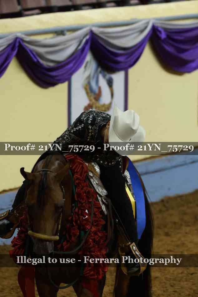 Proof Number 21YN_75729