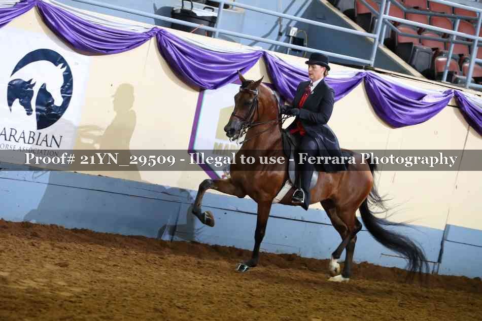 Proof Number 21YN_29509