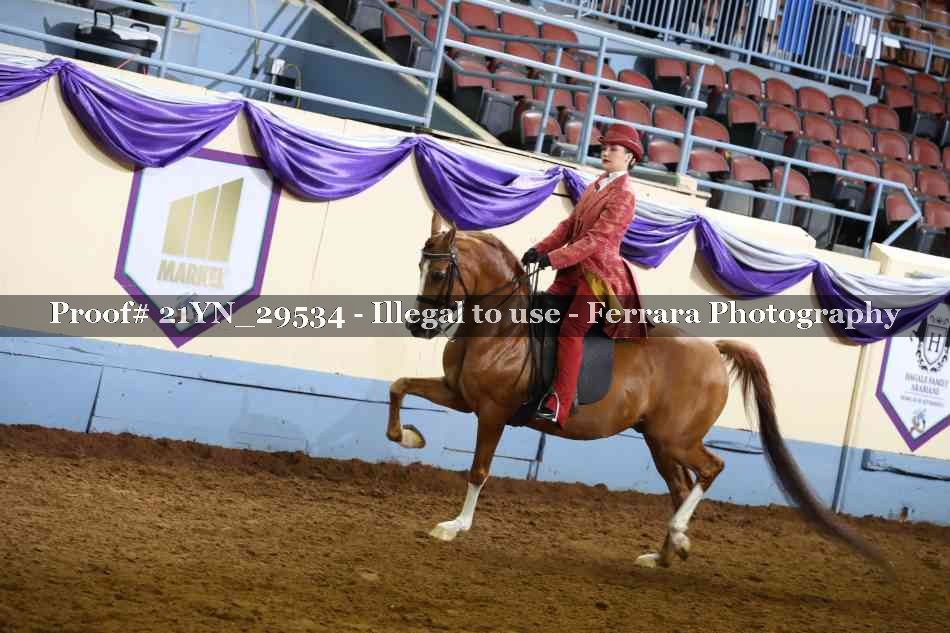 Proof Number 21YN_29534