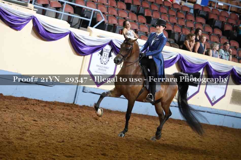 Proof Number 21YN_29547