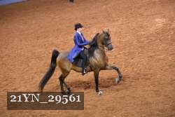 21YN_29561 thumbnail